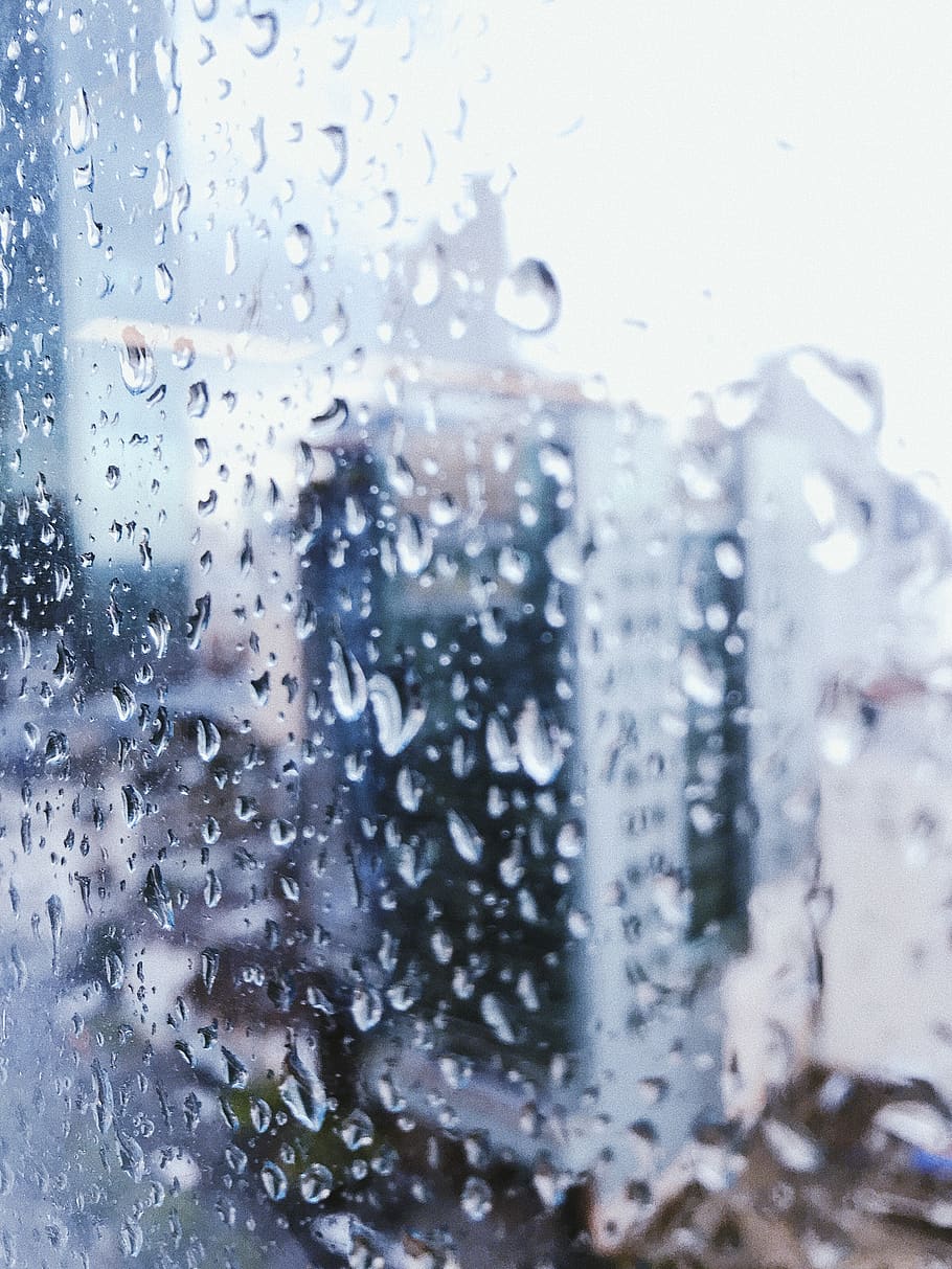 rain, drop, wet, water, glass - material, transparent, window HD wallpaper