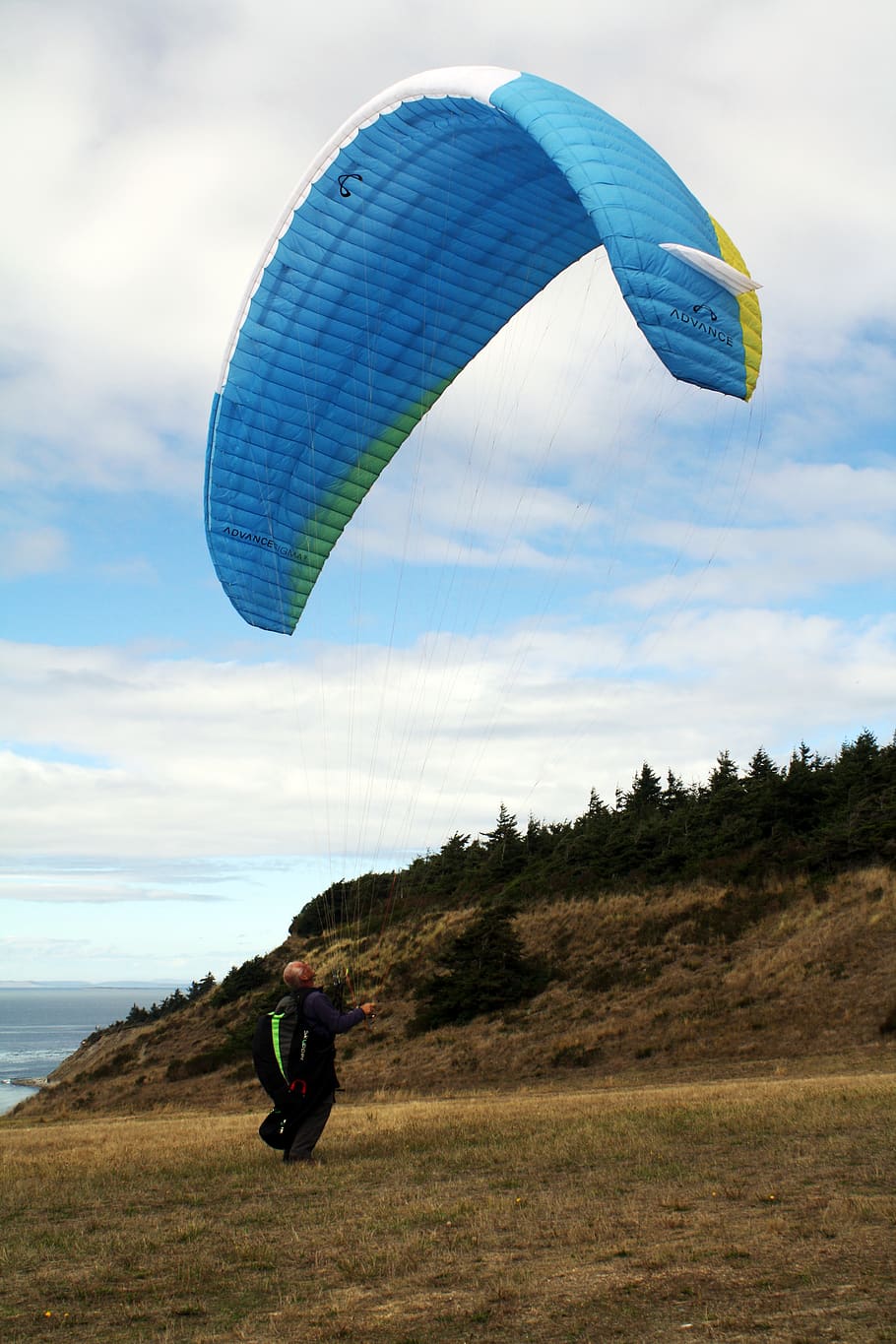 sky, clouds, mountain, tree, grass, paragliding, adventure HD wallpaper
