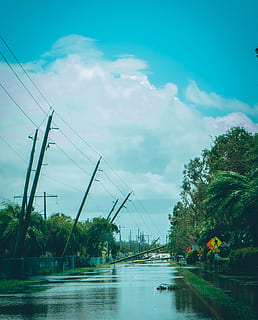 irma, hurricane, post irma, florida, bonita springs, power lines HD wallpaper