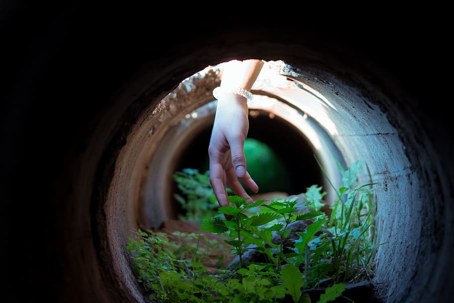 chile, chicureo, green, dark, hand, plants, light, pype, wheel HD wallpaper