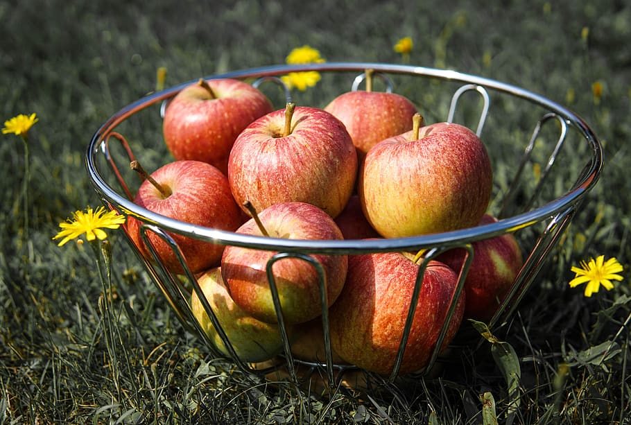 apples, summer, fruit, nature, fresh, healthy, plant, food and drink HD wallpaper