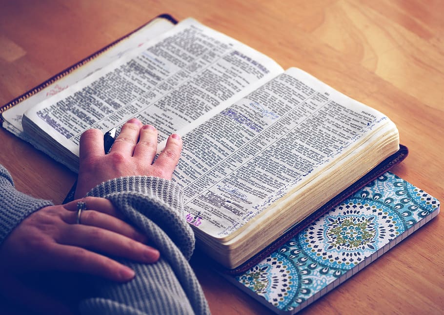What does the Church teach about other Gospels? - The Bishop's Bulletin