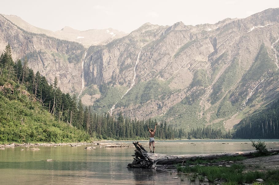 person standing on dead tree facing body of water, mountain, outdoors, HD wallpaper