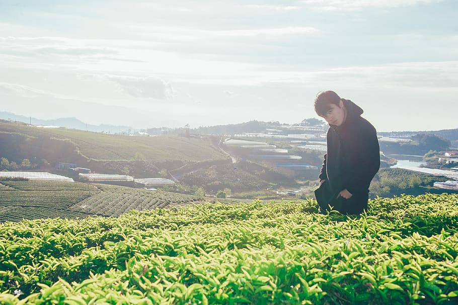 Photo of Man Near Plants, boy, casual, clouds, cropland, crops HD wallpaper