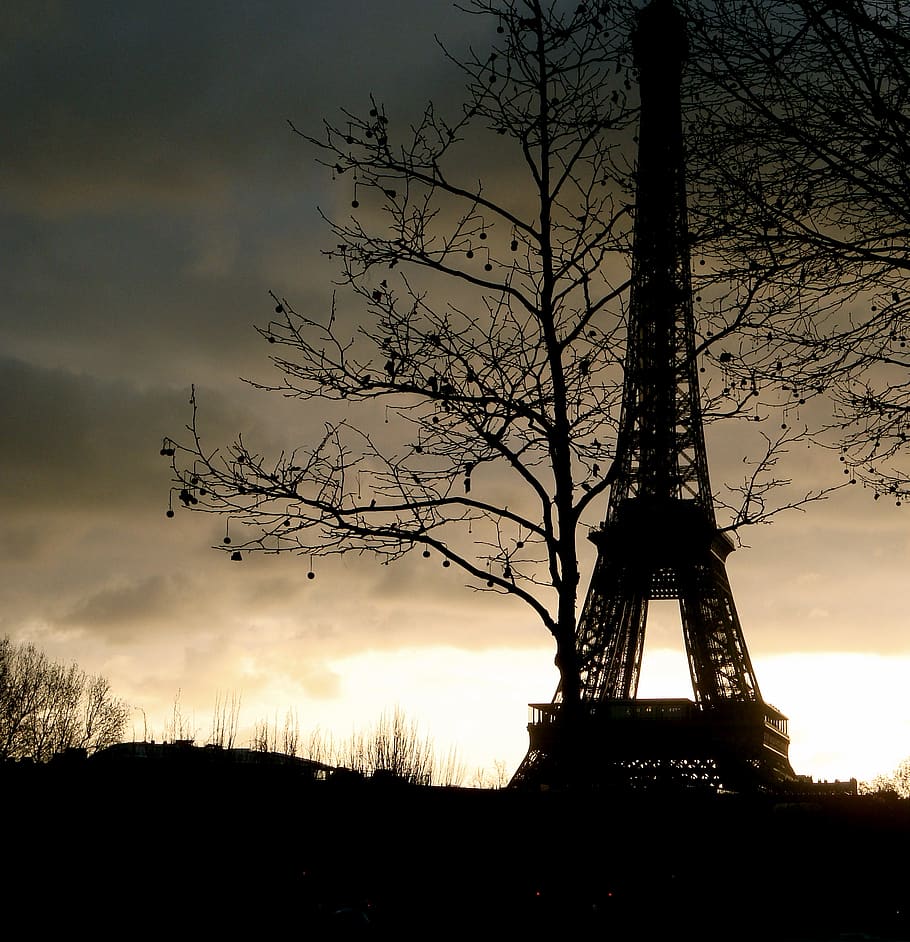 france, paris, eiffel tower, winter, sky, tree, cloud - sky HD wallpaper
