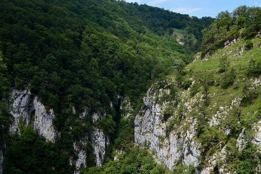 nature, rocks, wild, forest, sky, green, landscape, plant, tree HD wallpaper