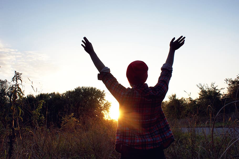 grass, sunset, trees, hands up, flannel, sky, one person, real people HD wallpaper