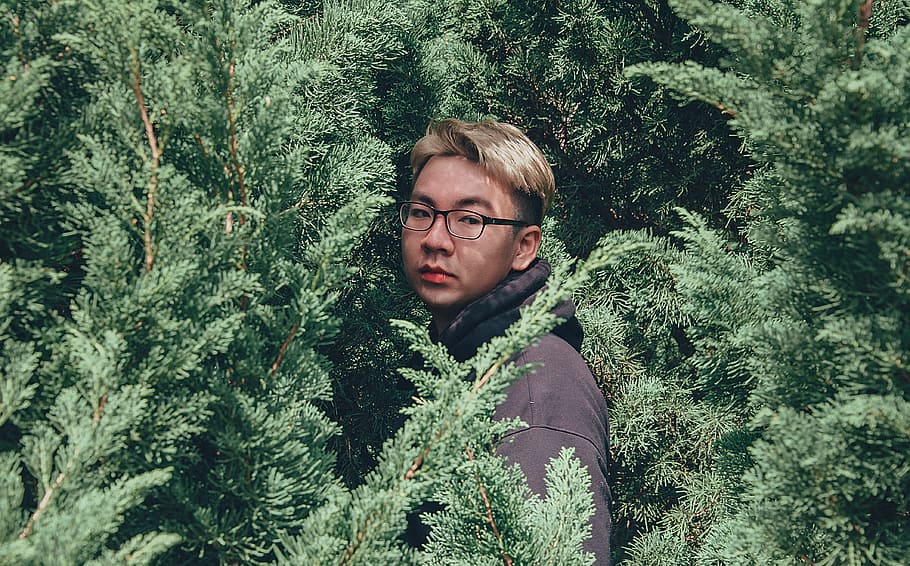 Photography of Man Between Pine Trees, close-up, colors, daytime HD wallpaper