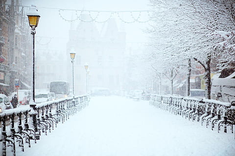 snow, winter, white, cold, weather, ice, nature, urban, city HD wallpaper