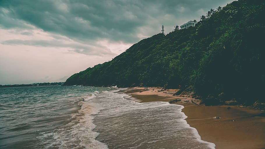 seashore, forest, waves, water, sky, cloud - sky, beauty in nature HD wallpaper