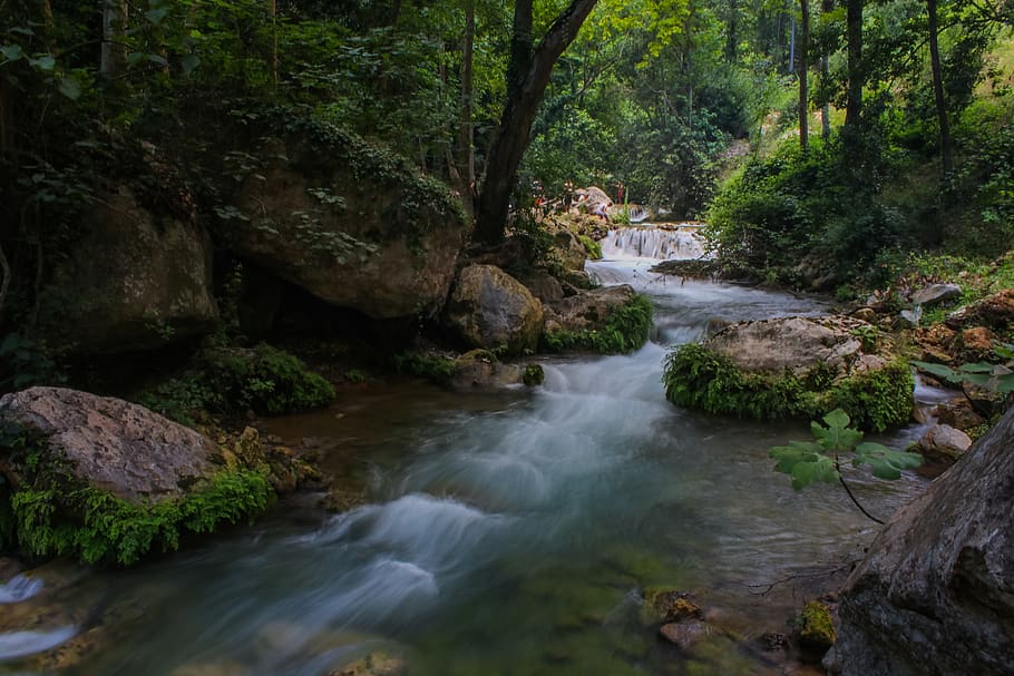 River Between Forest, cascade, environment, flow, landscape, moss HD wallpaper