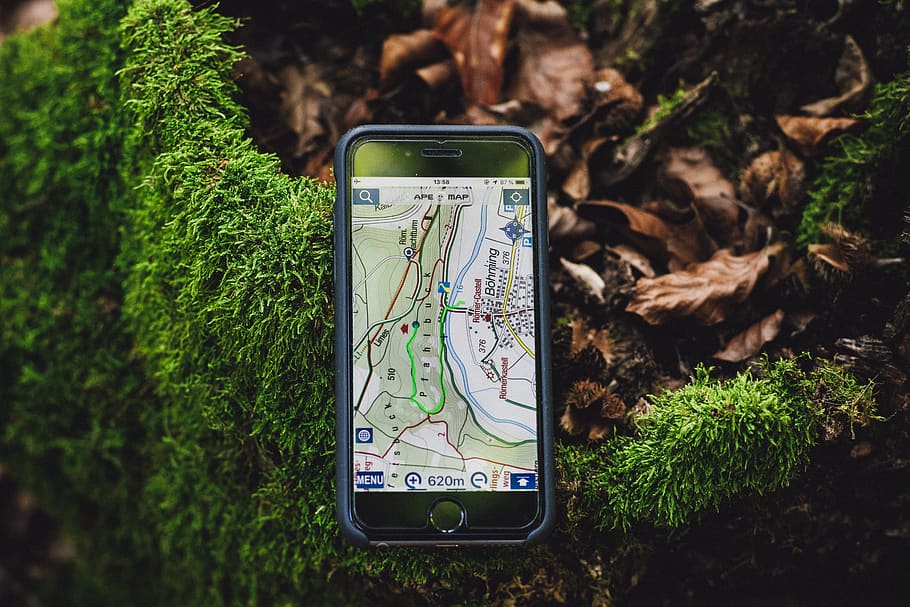 space gray iPhone 6 showing maps, electronics, gps, plant, flora HD wallpaper
