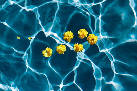 Download Hd Wallpaper Yellow Rubber Ducky Floating On Clear Water Summer Warm Beach Wallpaper Flare Yellowimages Mockups