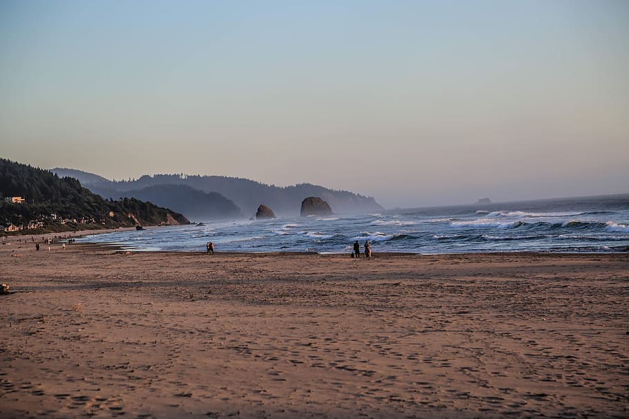 Waves, Beach, Oregon, Ocean, water, sea, sky, land, beauty in nature HD wallpaper