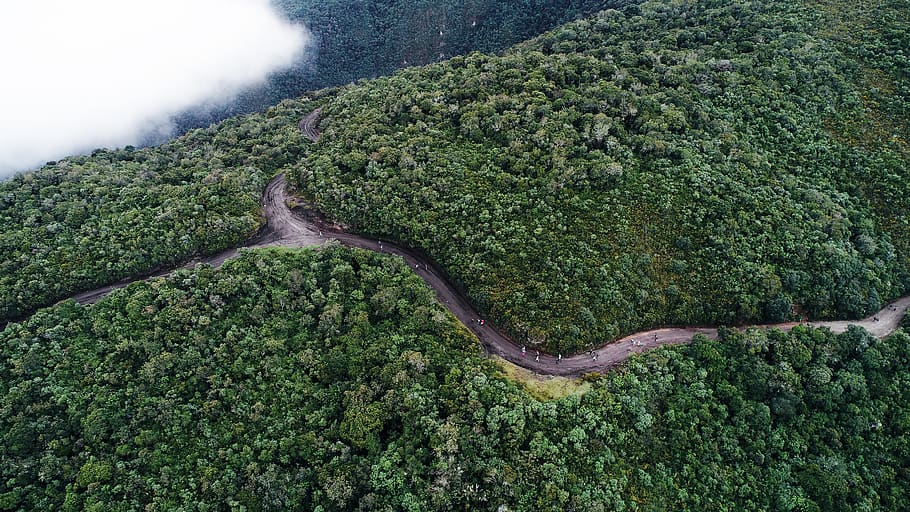 mountain, the muleteers, ecuador, plant, green color, nature HD wallpaper