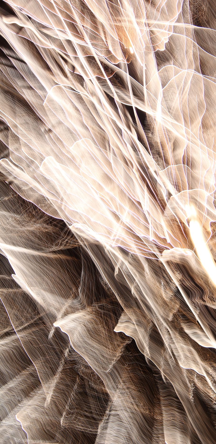 nature, outdoors, fireworks, night, pattern, ornament, fractal HD wallpaper