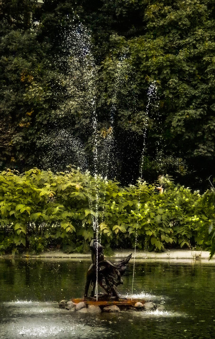 water, fountain, spring, tree, plant, nature, lake, motion HD wallpaper