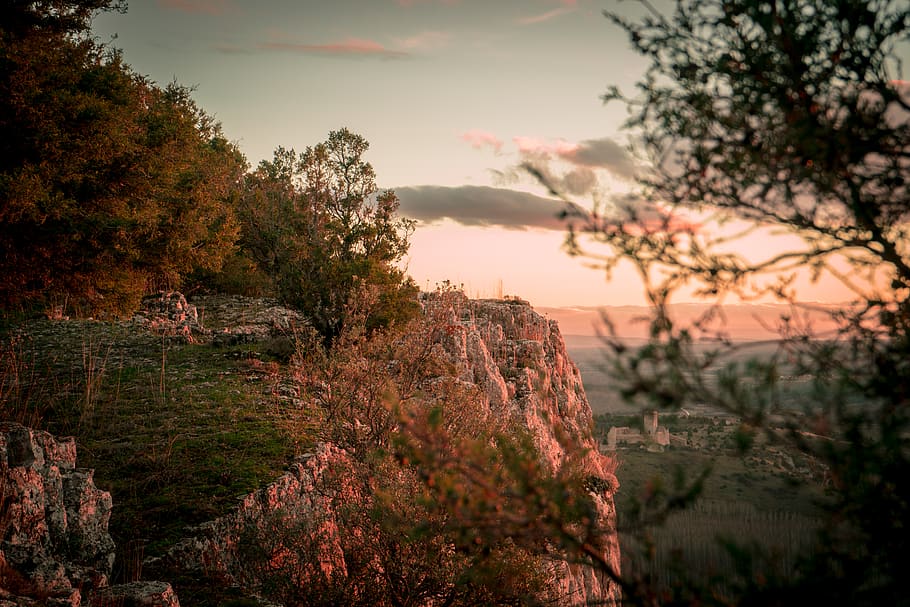trees on mountain cliff during daytime, nature, outdoors, spain HD wallpaper
