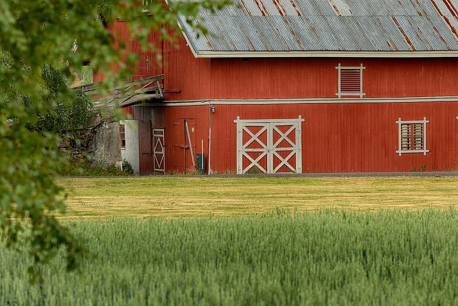 farm, old, building, farmhouse, plant, building exterior, architecture, HD wallpaper