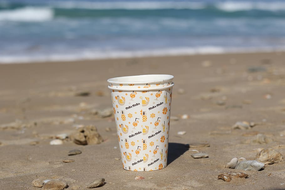 drink, cup, sea, beach, seashells, sand, morning, land, focus on foreground HD wallpaper