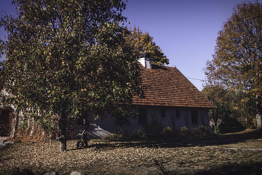 Brown Concrete House Beside Trees, architecture, autumn, countryside HD wallpaper