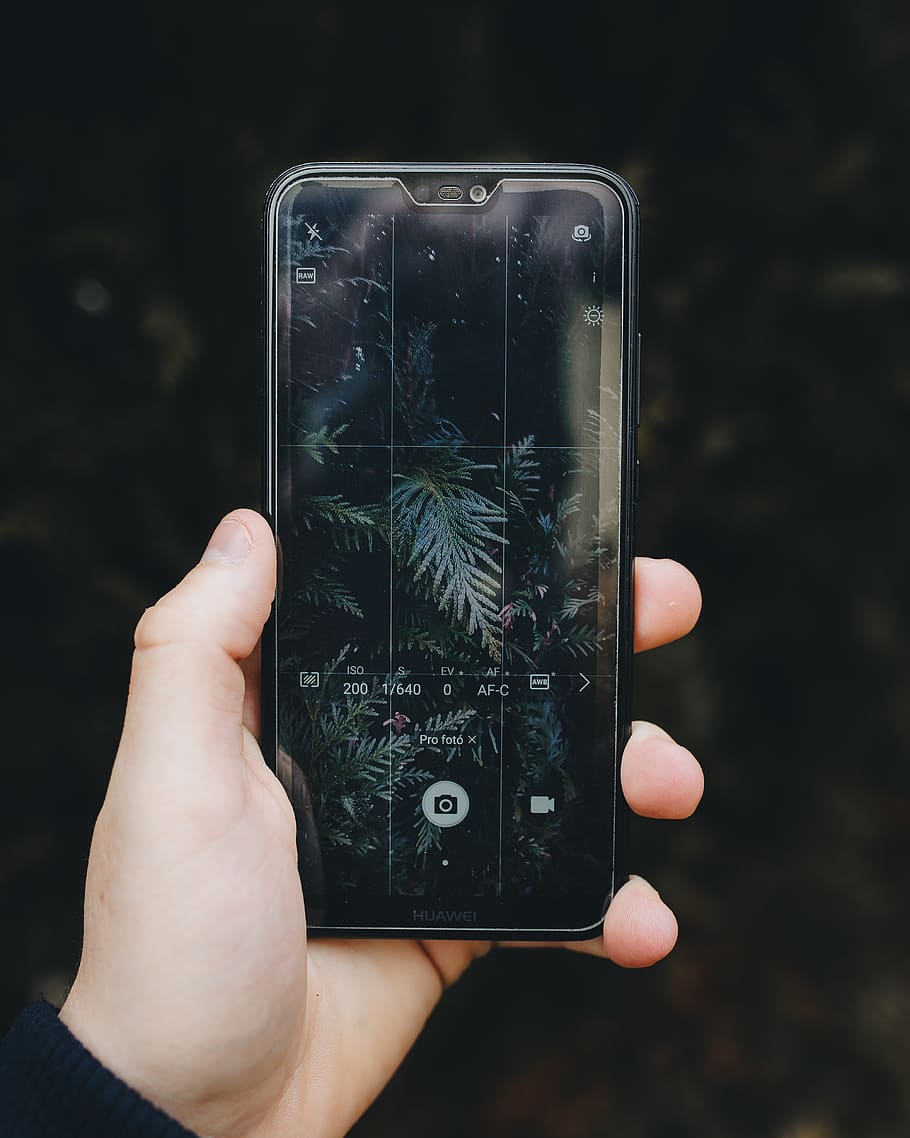 person holding iPhone about to take photo of plants, mobile phone HD wallpaper