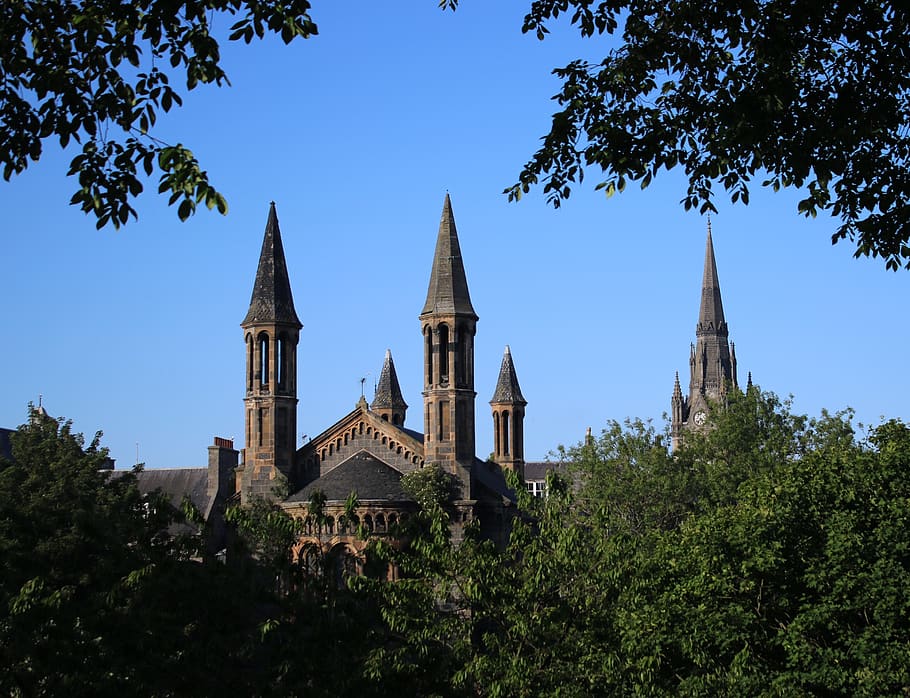 tower, steeple, building, spire, architecture, plant, tree HD wallpaper