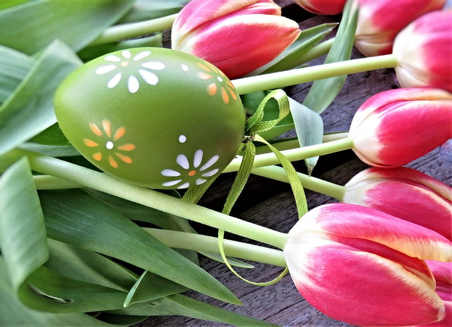 tulips, easter egg, flowers, tulip bouquet, cut flowers, hen's egg HD wallpaper