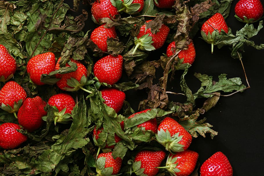 food and drink, healthy eating, berry fruit, strawberry, red HD wallpaper