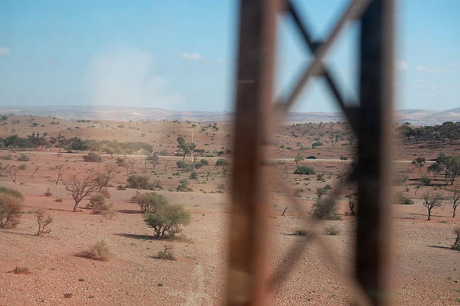 morocco, movement, trees, land, train, read, speed, desert HD wallpaper