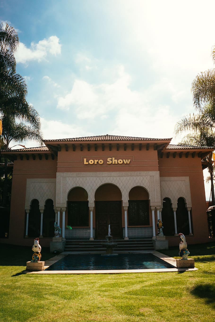 building, hotel, pool, water, swimming pool, human, person HD wallpaper