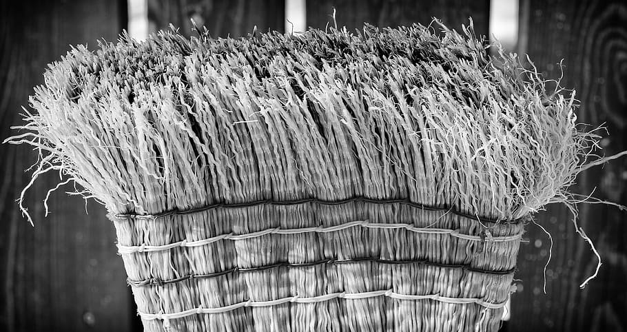 broom, stick, sweep, activity, clean, close-up, focus on foreground HD wallpaper