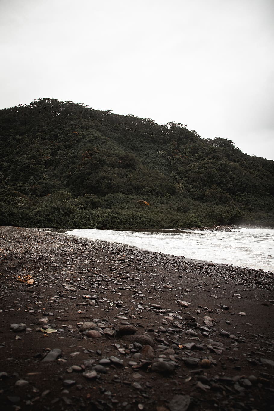 trees and shore, nature, gravel, dirt road, ocean, maui, outdoors HD wallpaper