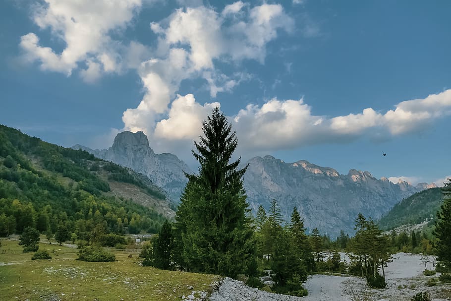 nature, landscape, clouds, mountains, trees, forest, sky, snow, HD wallpaper
