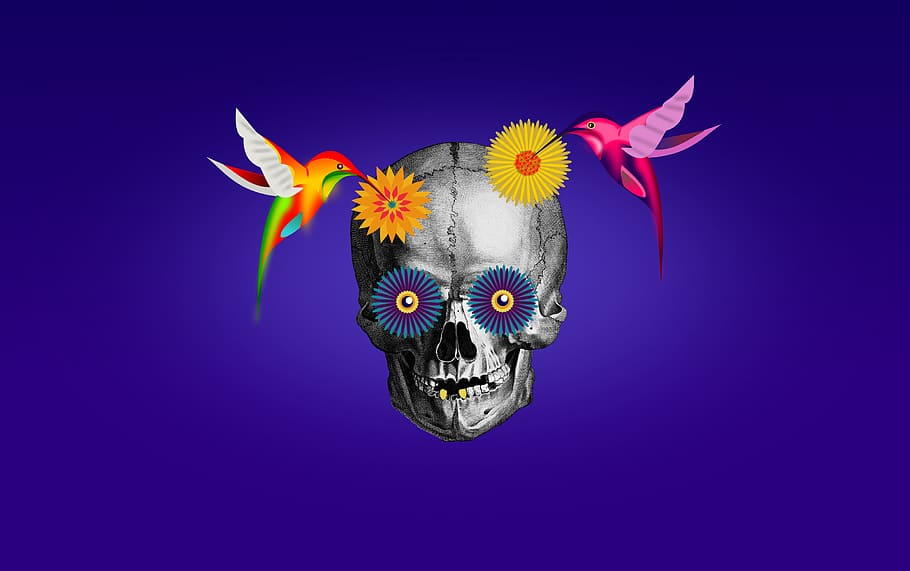 Dia de los Muertos - Day of the Dead - Illustration with Skull and Hummingbirds