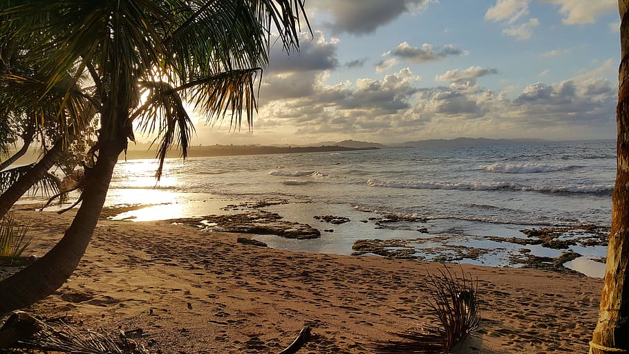 Landscape Photo of Beach Under Partly Cloudy Skies, clouds, coconut trees HD wallpaper