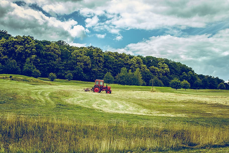 tractor, vehicle, green, grass, field, farm, trees, plant, nature HD wallpaper