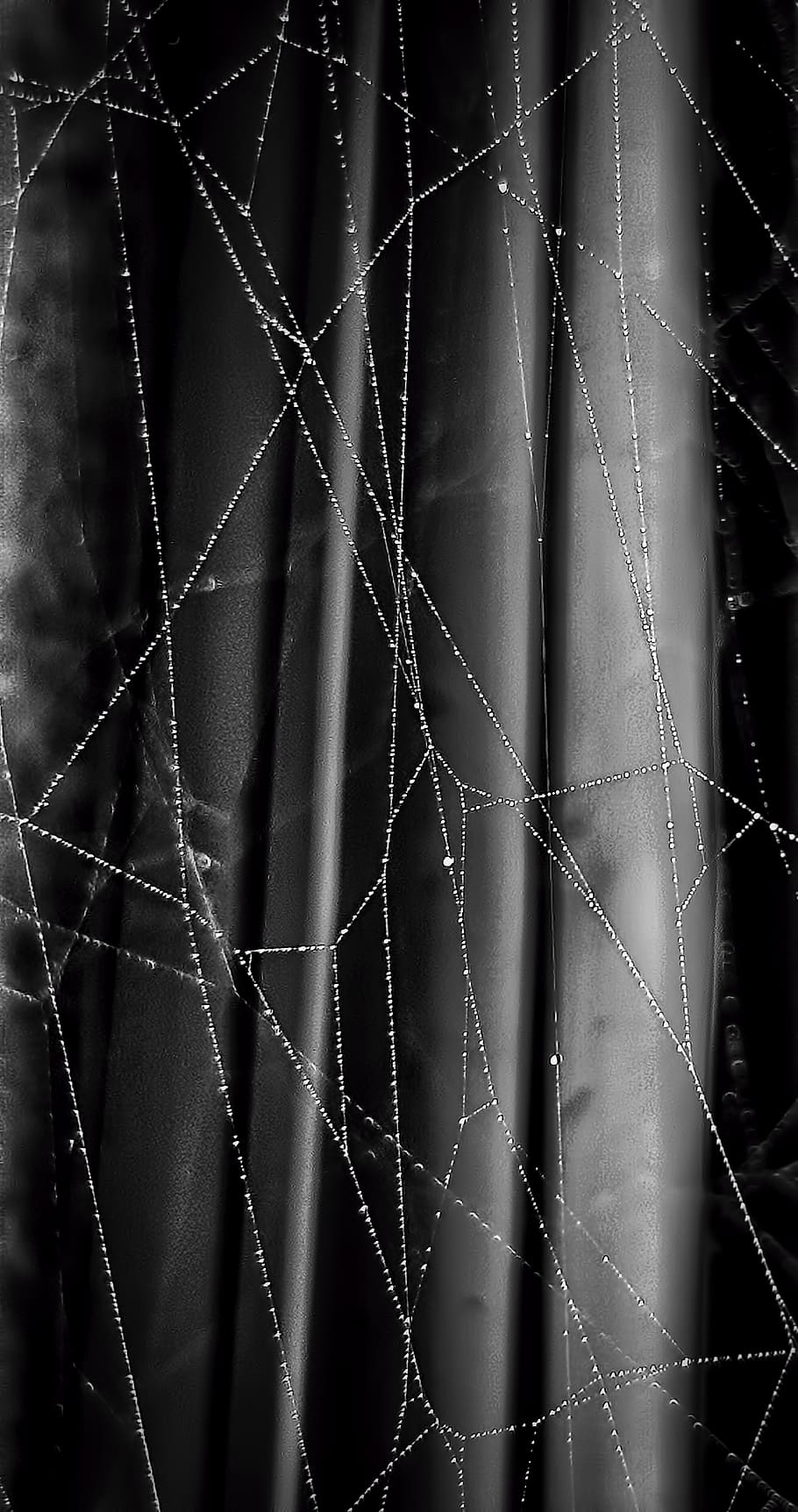 Spider web wallpaper on transparent background PNG - Similar PNG