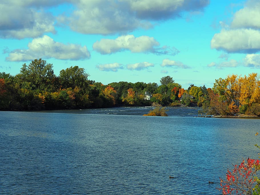 canada, eastern townships, lake, trees, park, water, plant HD wallpaper