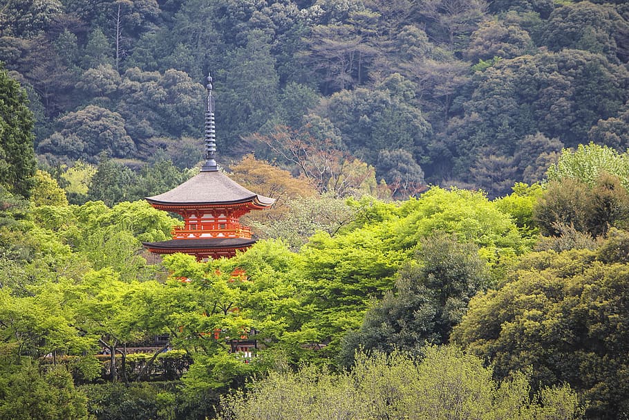 Temple trees