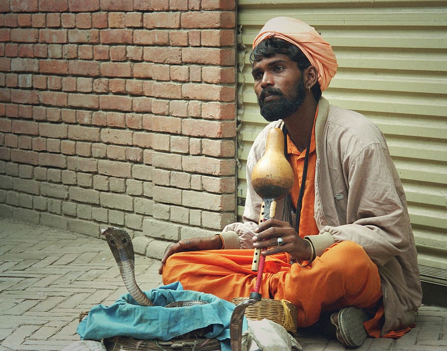 nepal, kathmandu, snake, katmandu, pipe, bricks, one person HD wallpaper