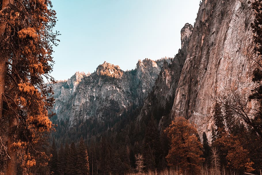 mountain range in distant, outdoors, plant, tree, nature, abies HD wallpaper