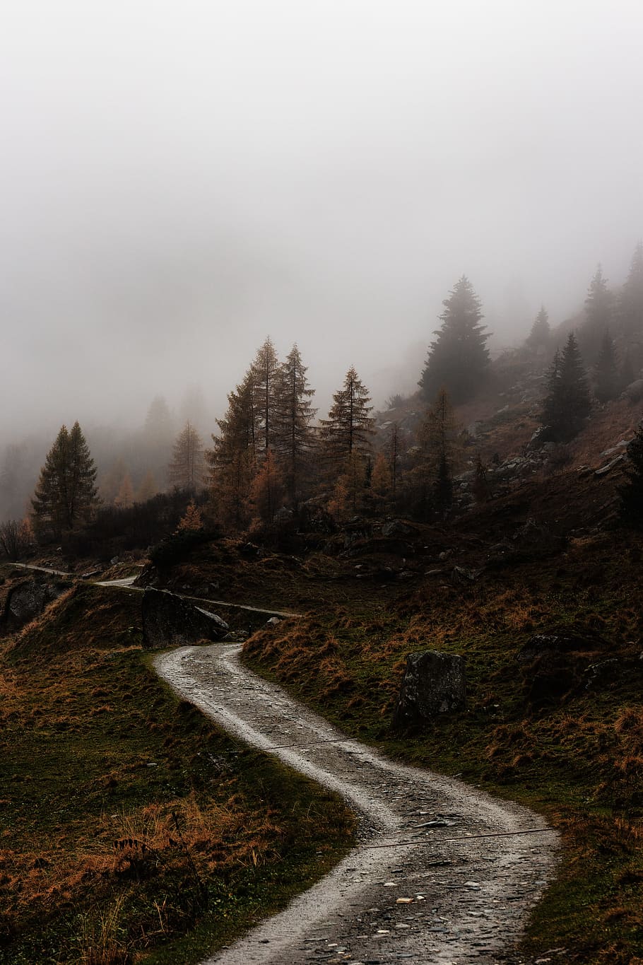 fog over walk path and trees, forest, woodland, mist, mountain HD wallpaper
