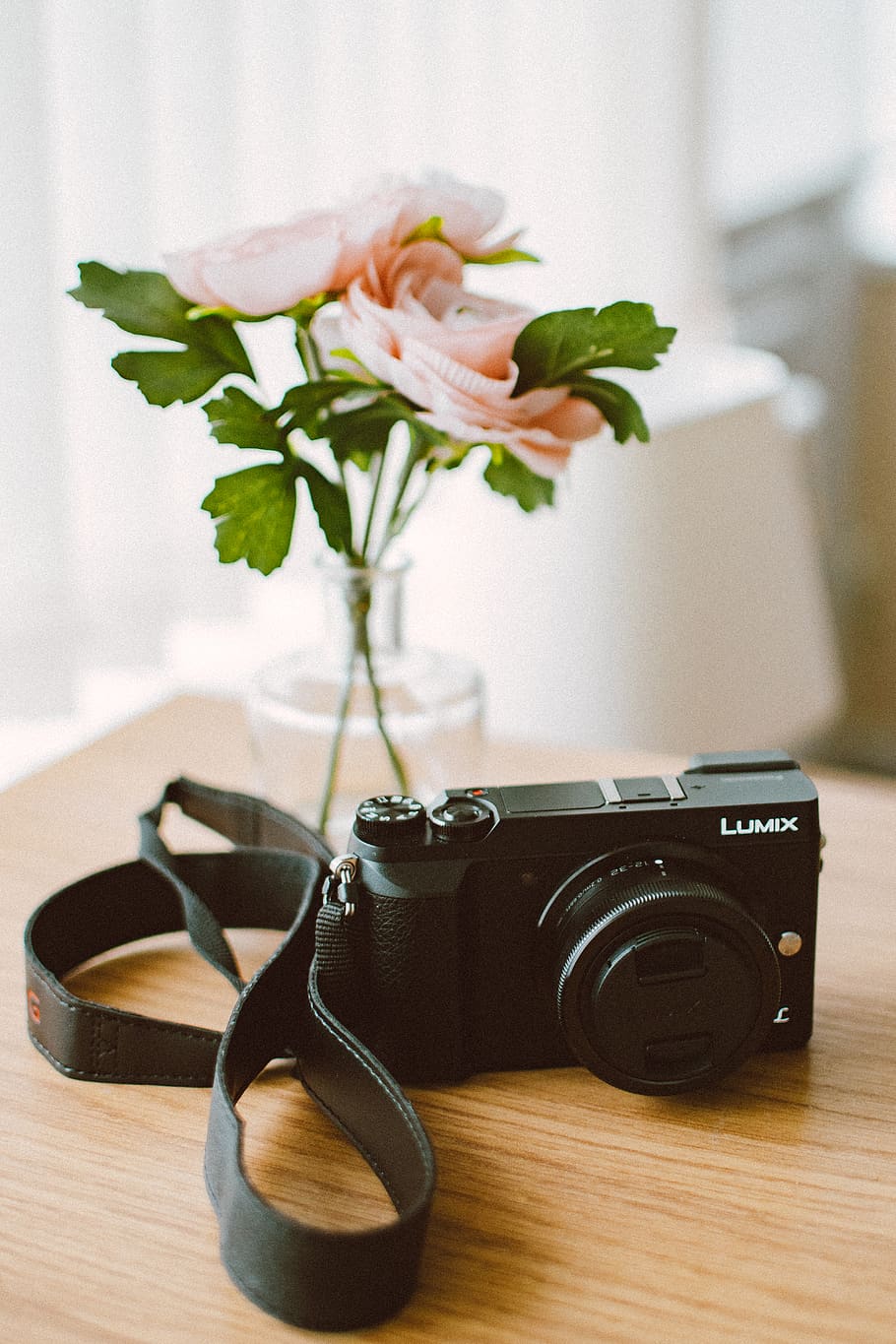 Black Panasonic Lumix Digital Camera, bloom, blooming, blossom HD wallpaper