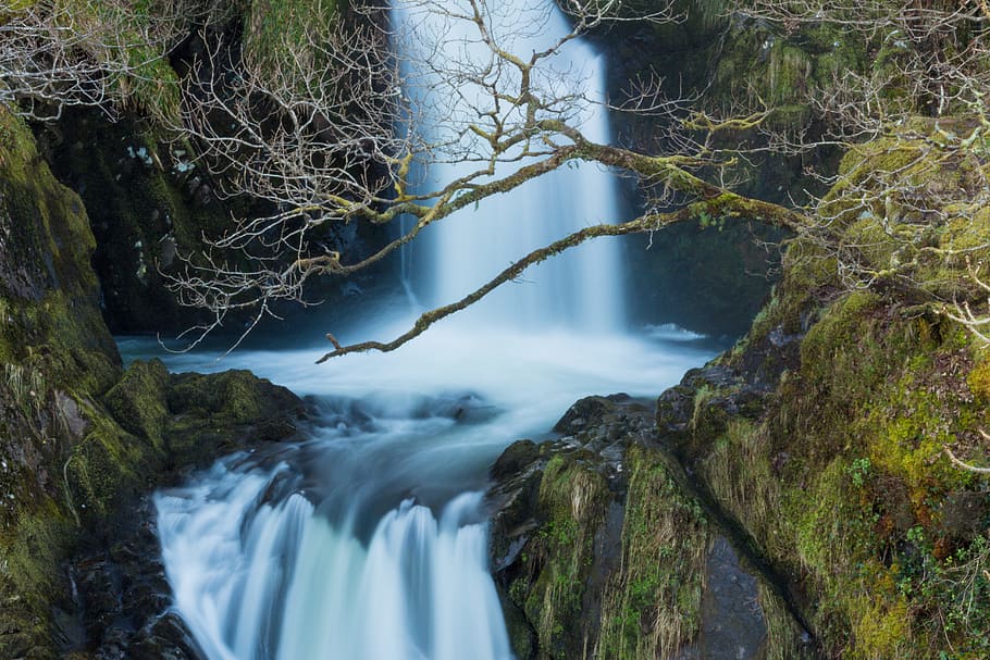 Time Lapse Photography Of Cascade, creek, flow, long-exposure HD wallpaper