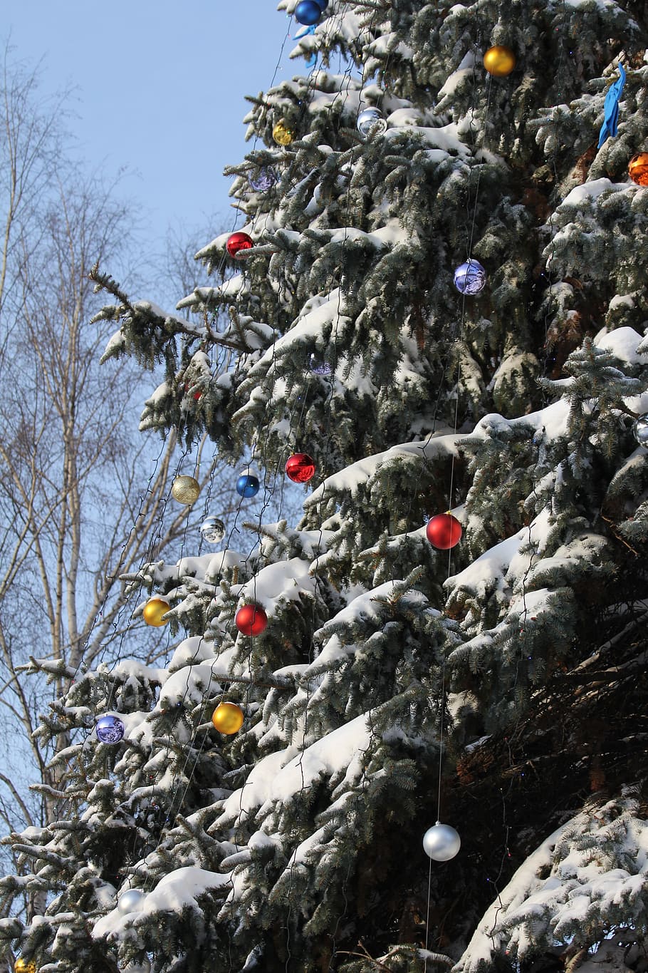fir, christmas, tree, snow, new, year, background, winter, holiday HD wallpaper