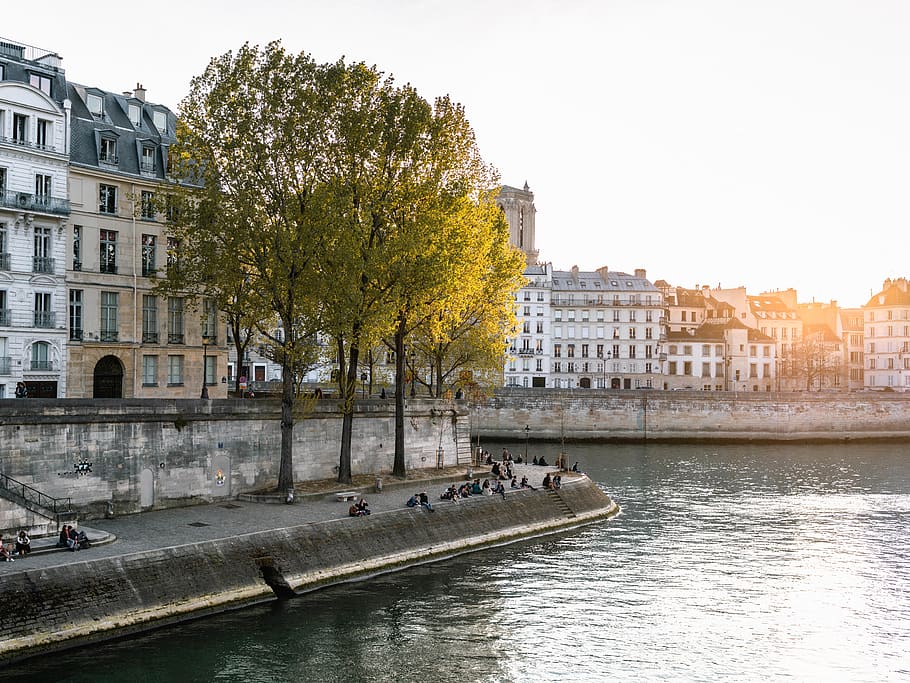 Trees By The River, buildings, canal, city, town, urban, architecture HD wallpaper