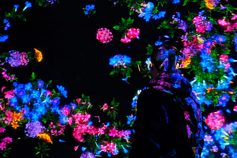 light, lighting, teamlab borderless, japan, tokyo, human, festival HD wallpaper