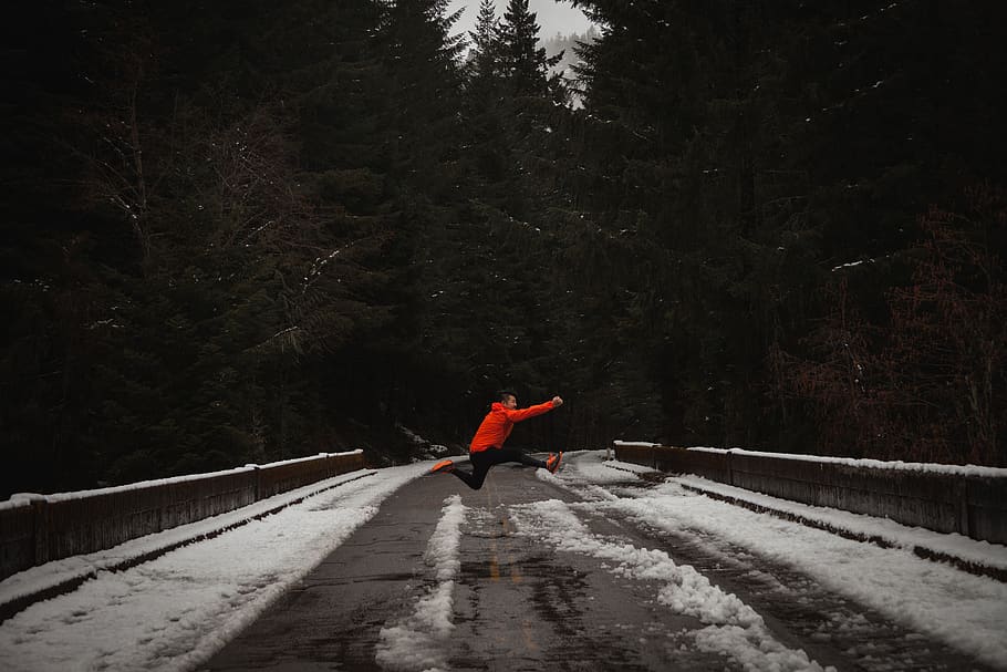 trees, forest, people, northwest, snow, spring, one person HD wallpaper