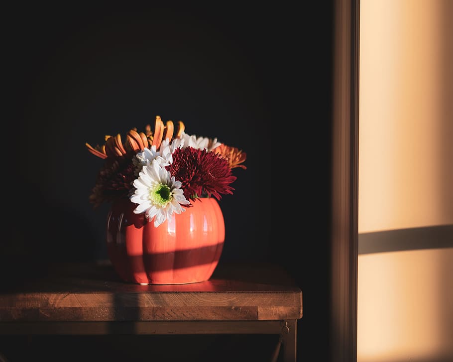assorted-color petaled flowers centerpiece on table, daylight HD wallpaper